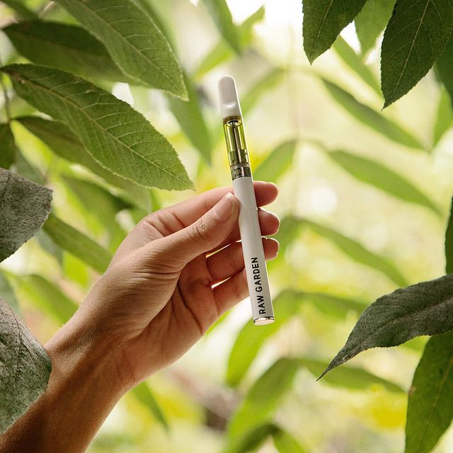 Buy Wolf Garten Weed Pen