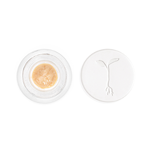 Live Rosin