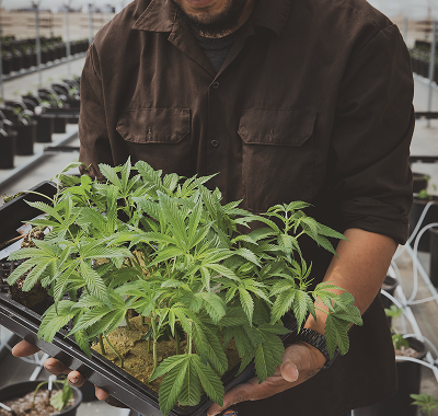 20200902_BrianWalker_0985 2