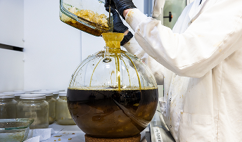 Shafik Raw Garden - 137 3