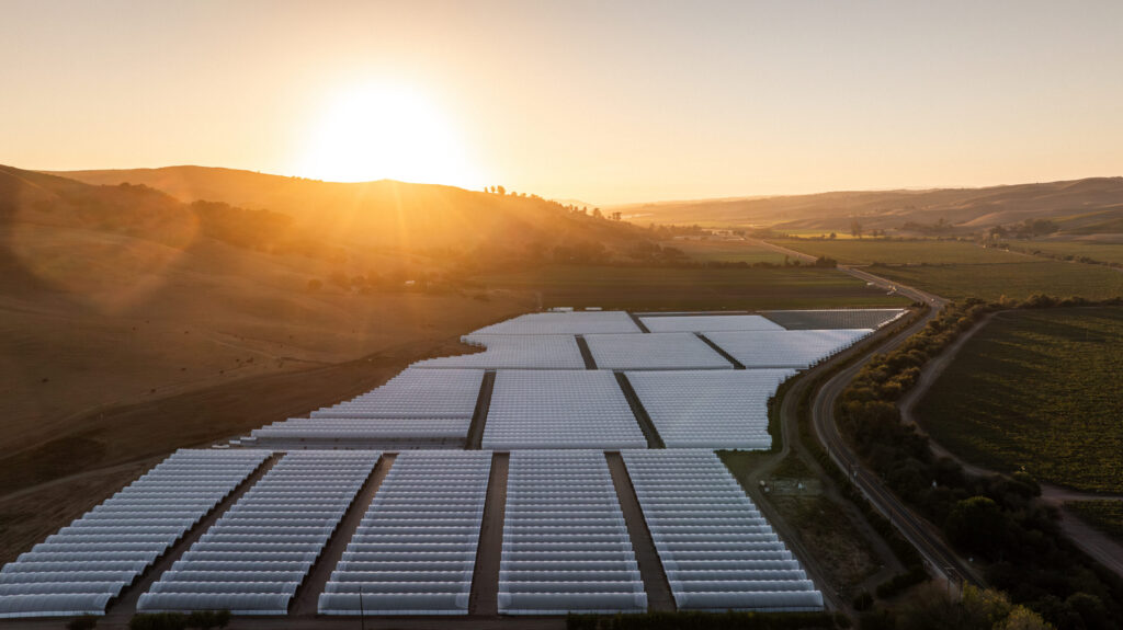 raw garden eco- arm dusk