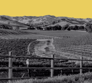 raw-garden-wine-country-aspect-ratio-365-330