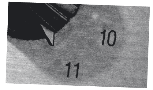 Amplified-Graphic-Asset