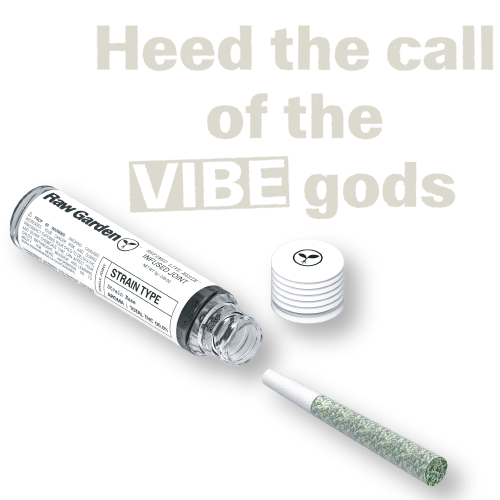 landing-page-product-vibe